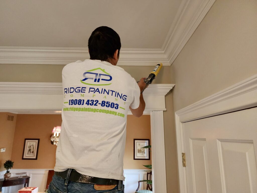 Residential Painters Chester NJ